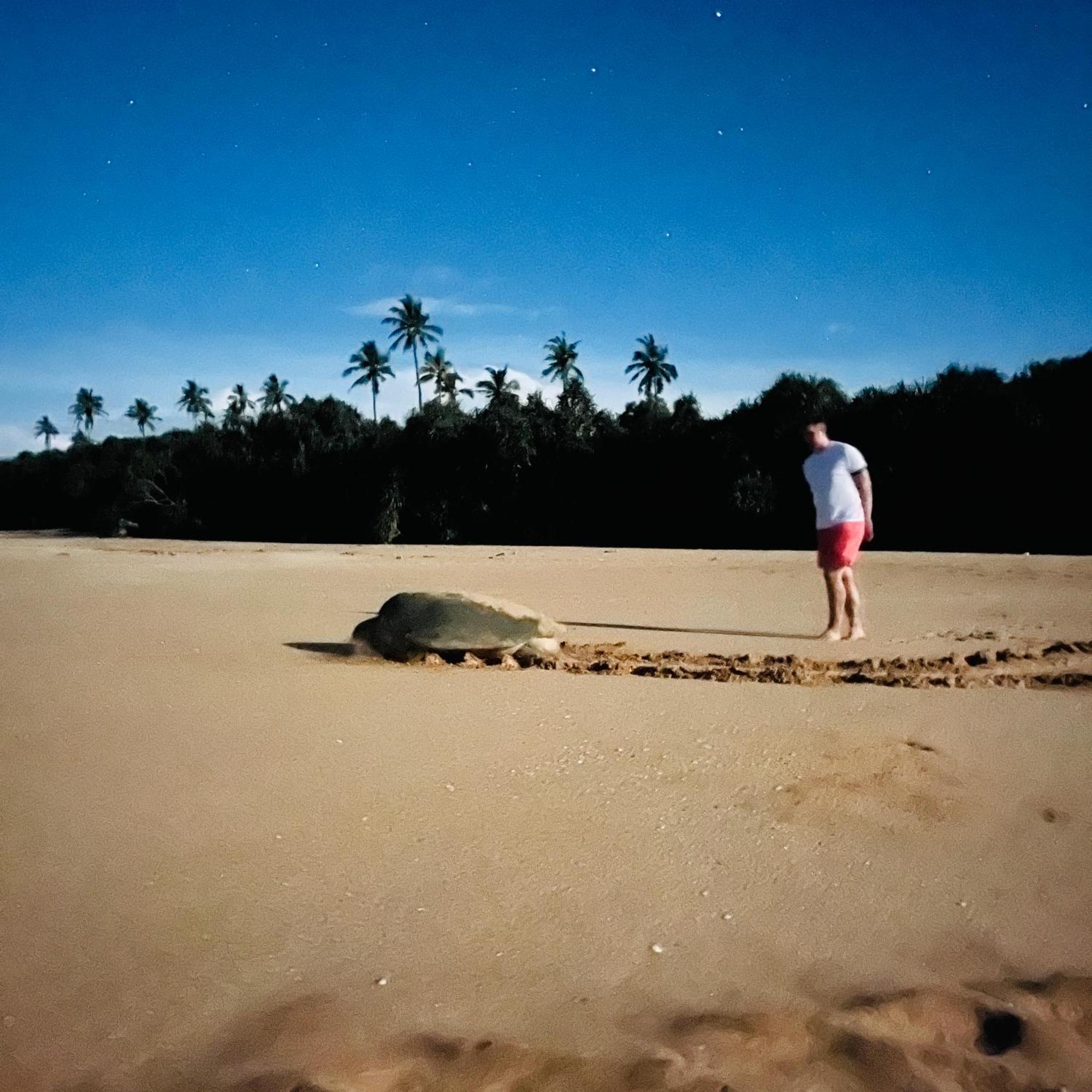 Hanguk Lanka Lagoon Villa Tangalle Eksteriør billede