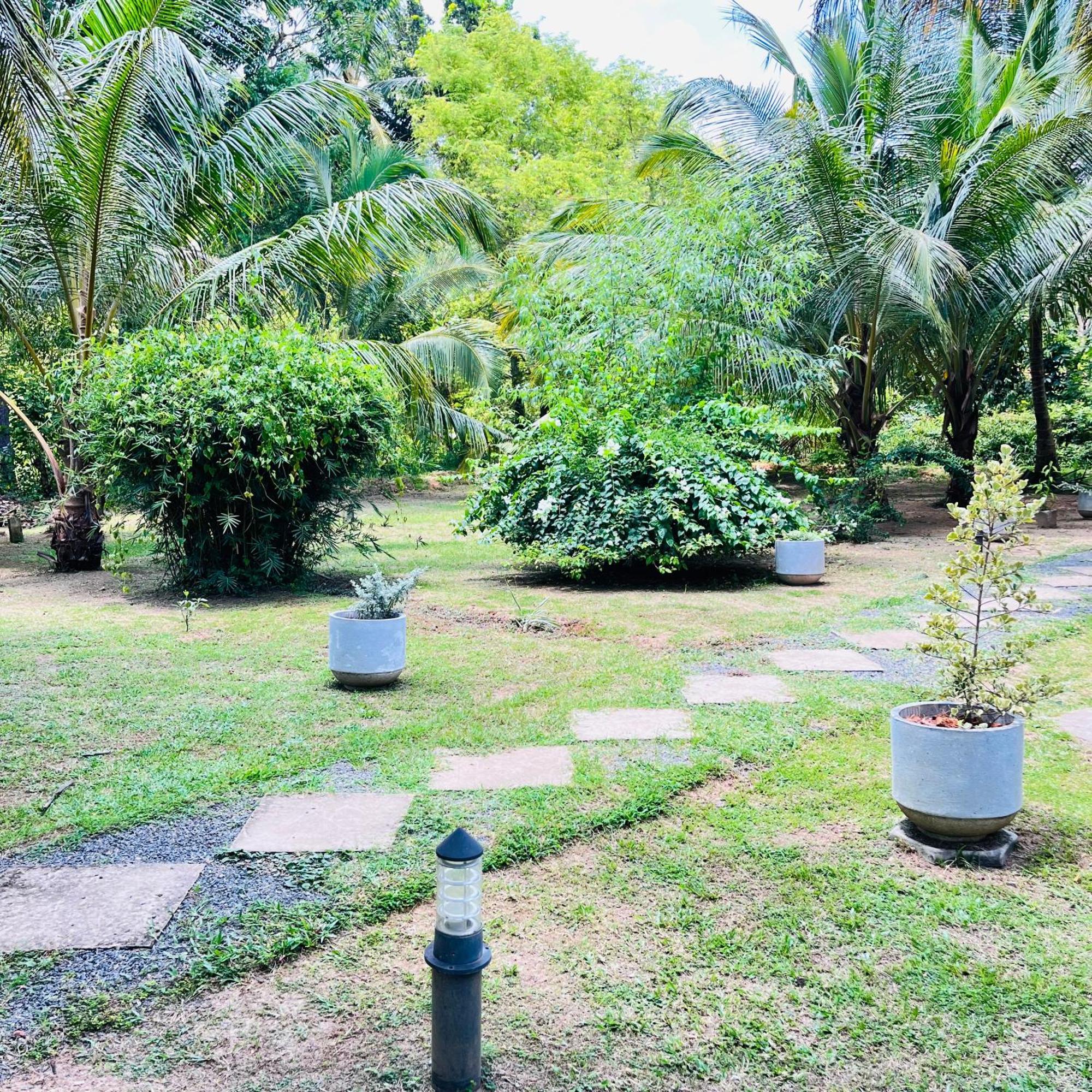Hanguk Lanka Lagoon Villa Tangalle Eksteriør billede
