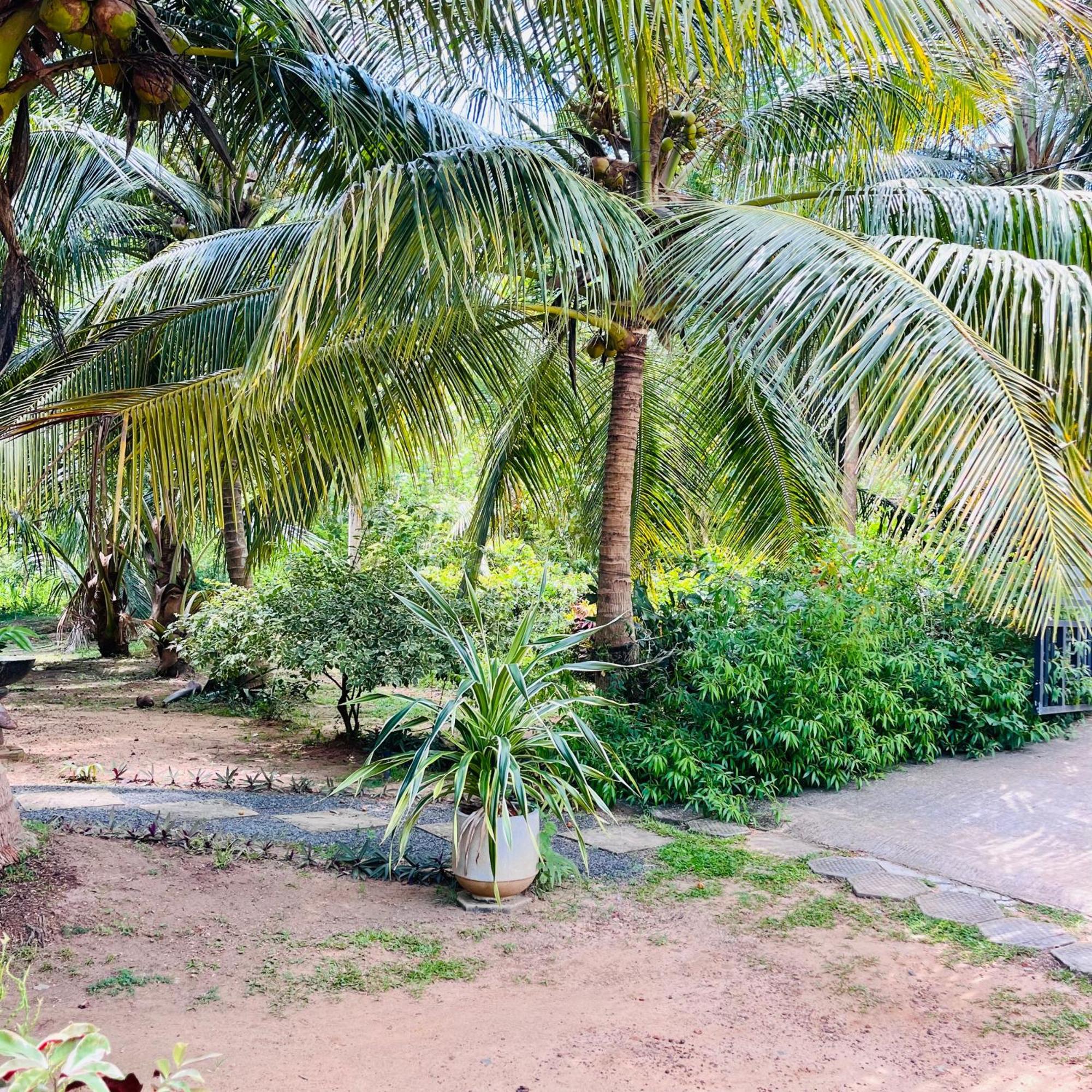 Hanguk Lanka Lagoon Villa Tangalle Eksteriør billede