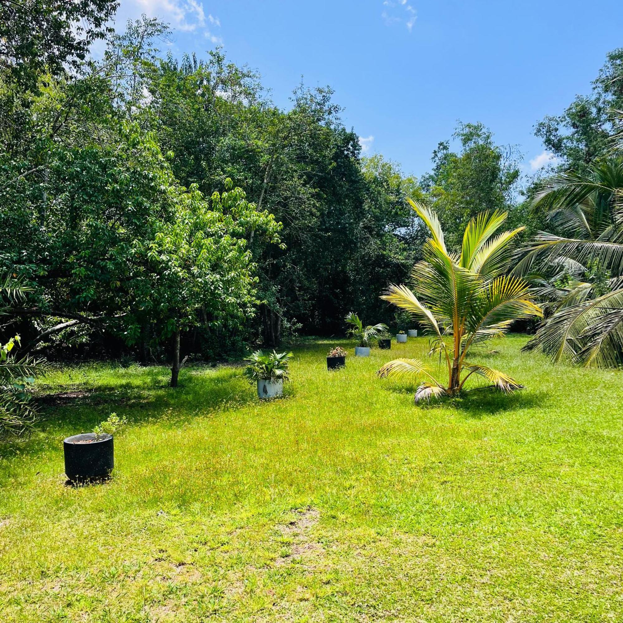 Hanguk Lanka Lagoon Villa Tangalle Eksteriør billede