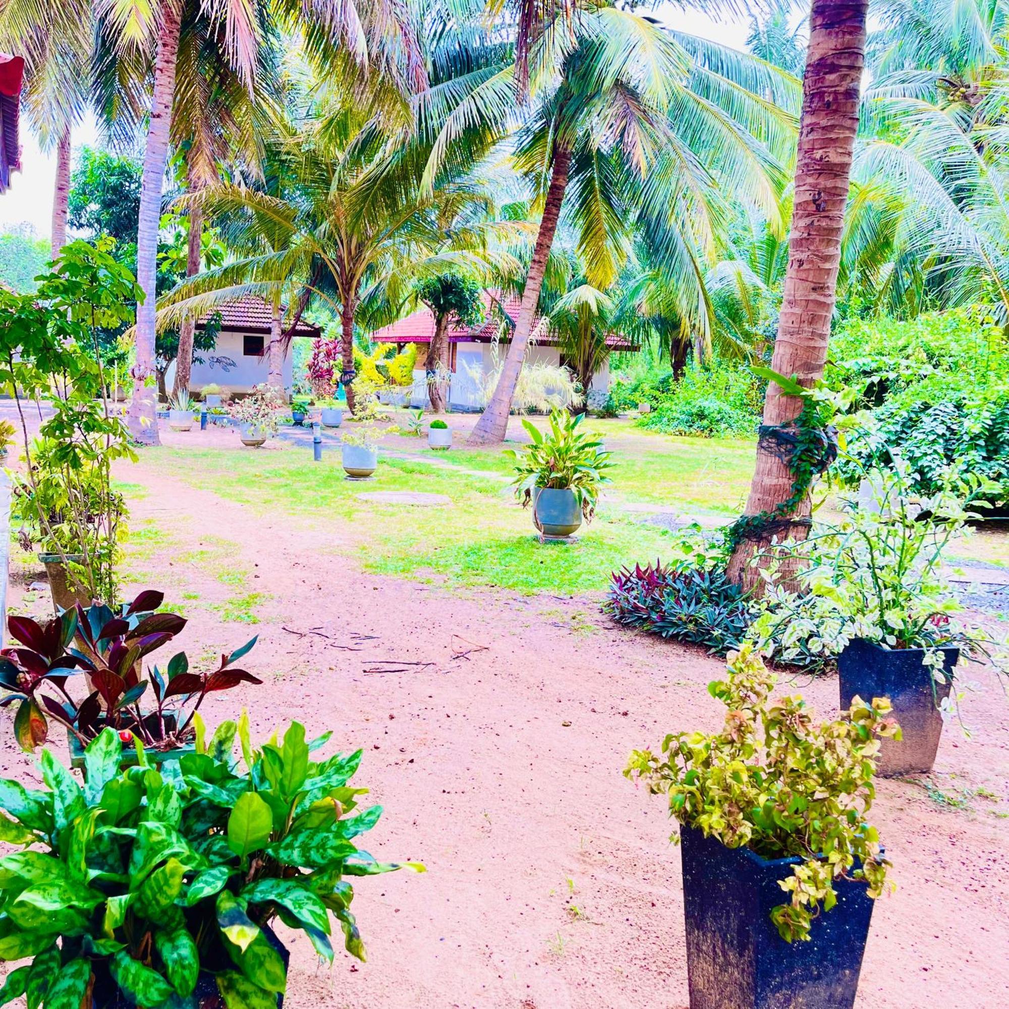 Hanguk Lanka Lagoon Villa Tangalle Eksteriør billede