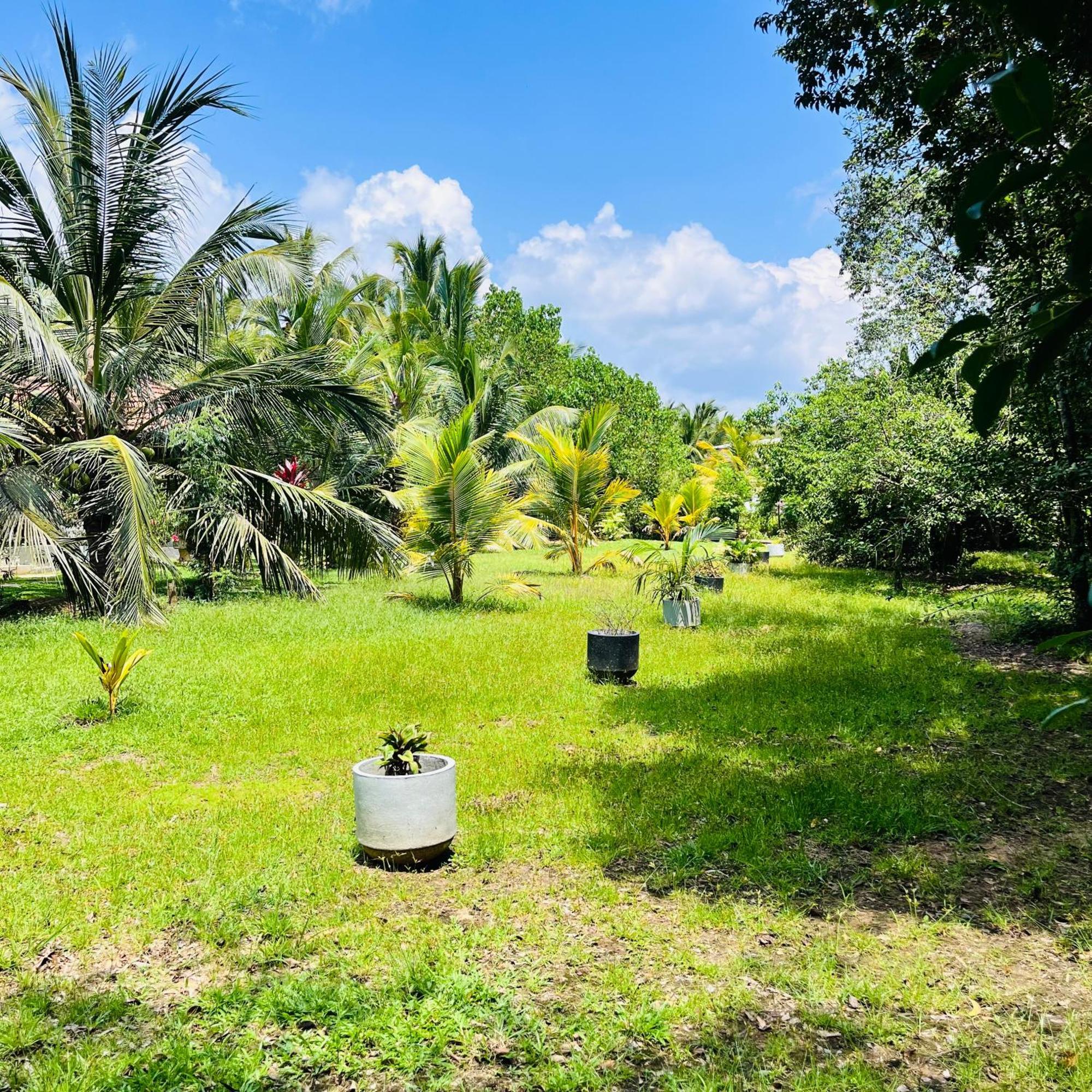 Hanguk Lanka Lagoon Villa Tangalle Eksteriør billede